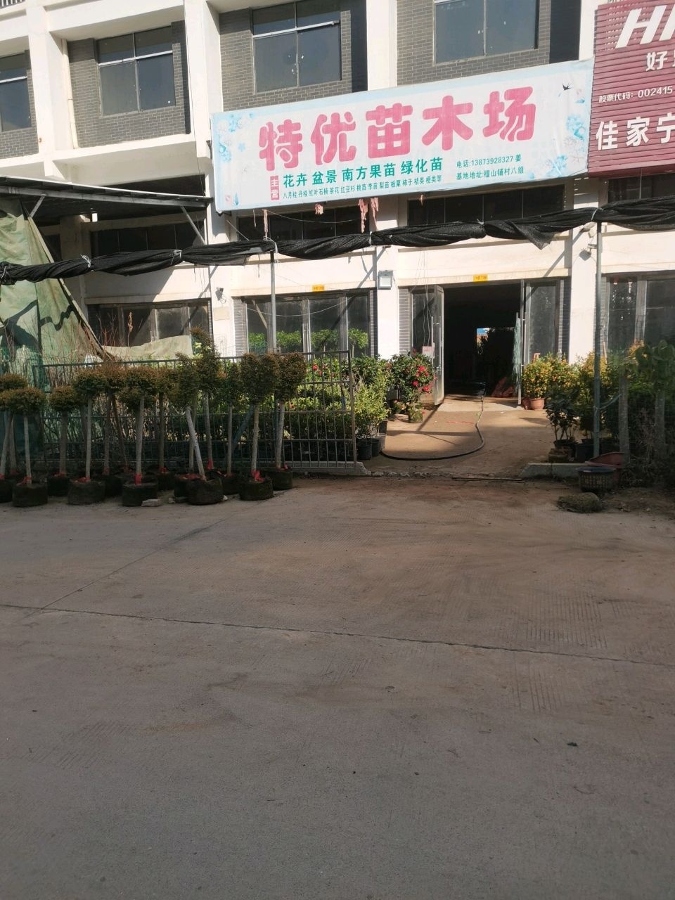 特优苗木花卉