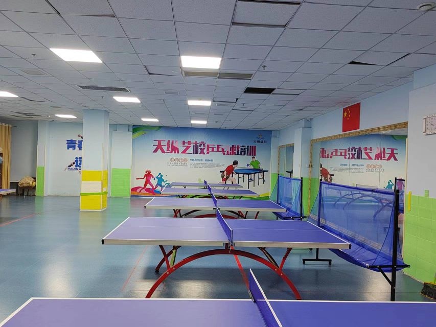 天枞艺校乒乓球