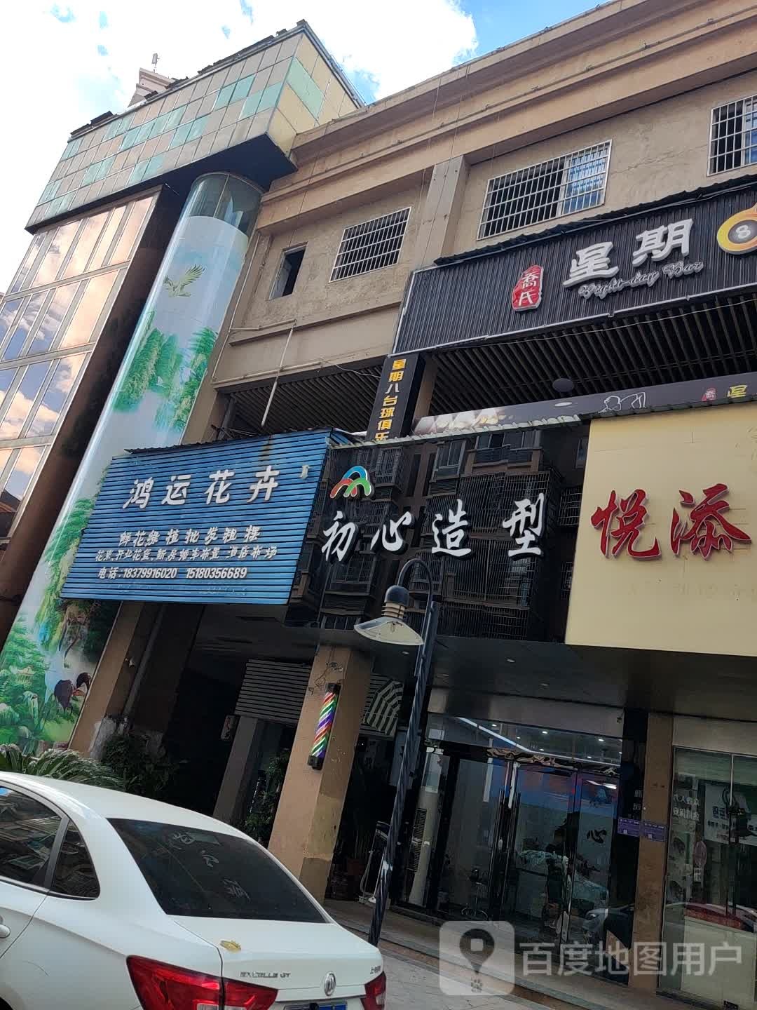 鸿运花卉