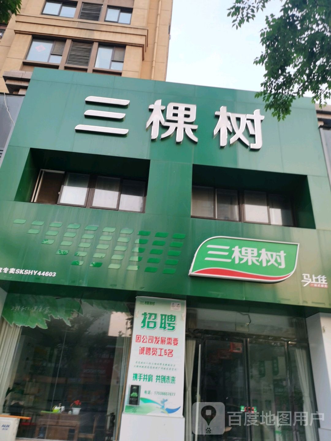 沈丘县三棵树(经二街店)