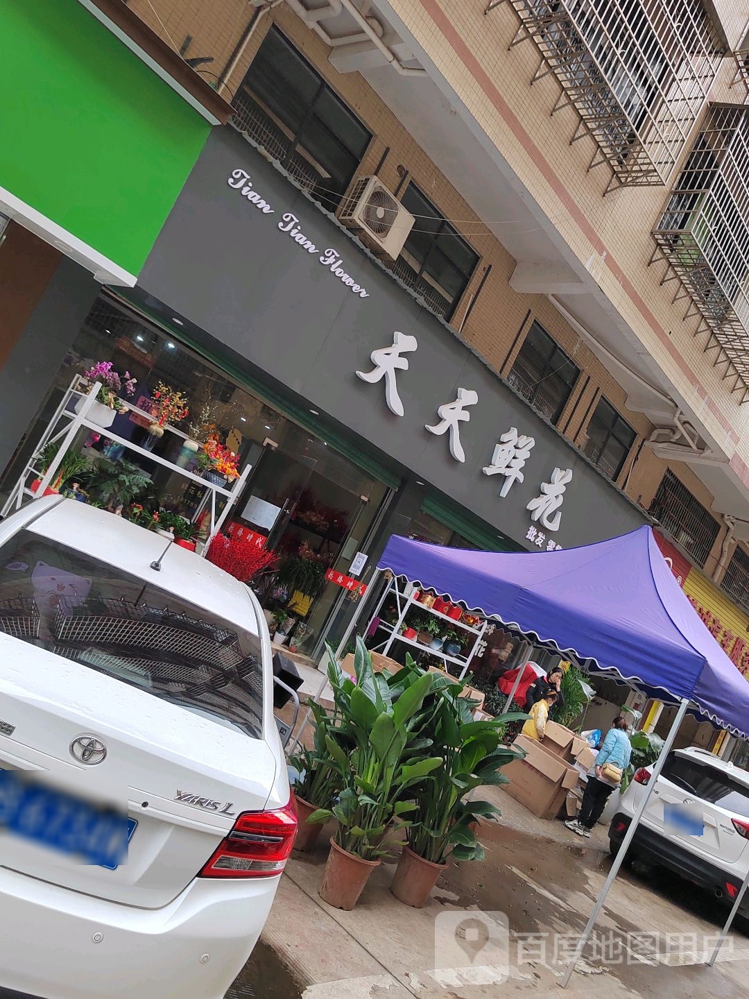 天天鲜花(幸福路店)