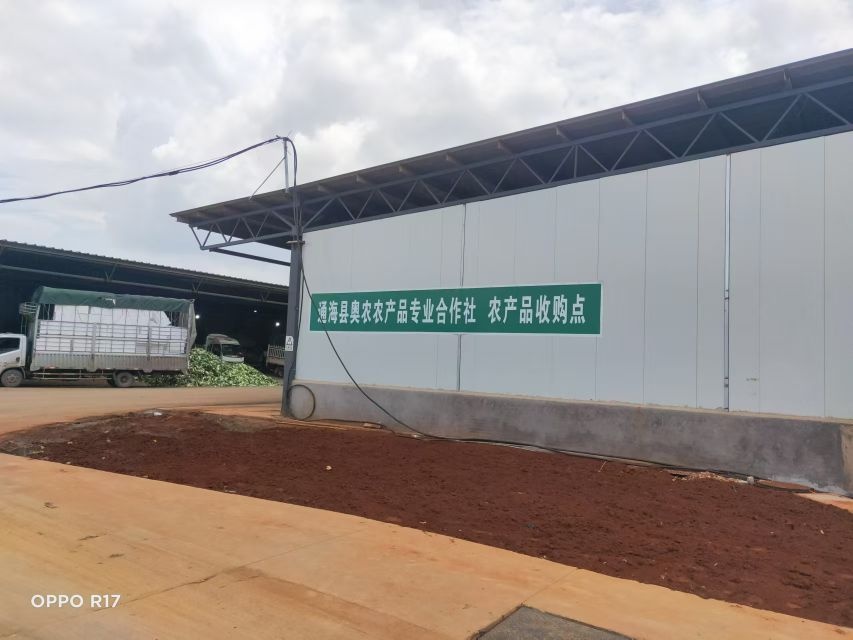 通海县奥农农产品专业合作社(农产品收购处)