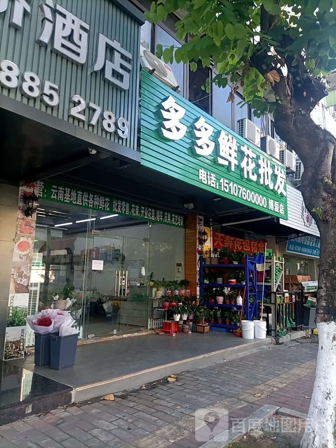 多多鲜花批发(中山总店)