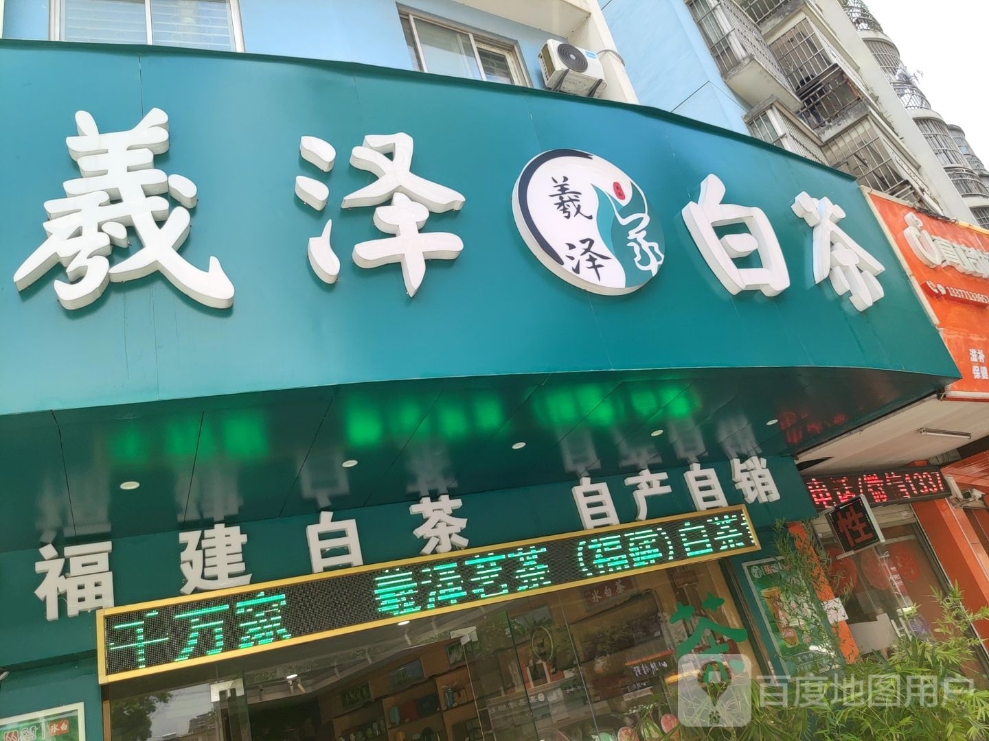 福建白茶(明秀小区店)