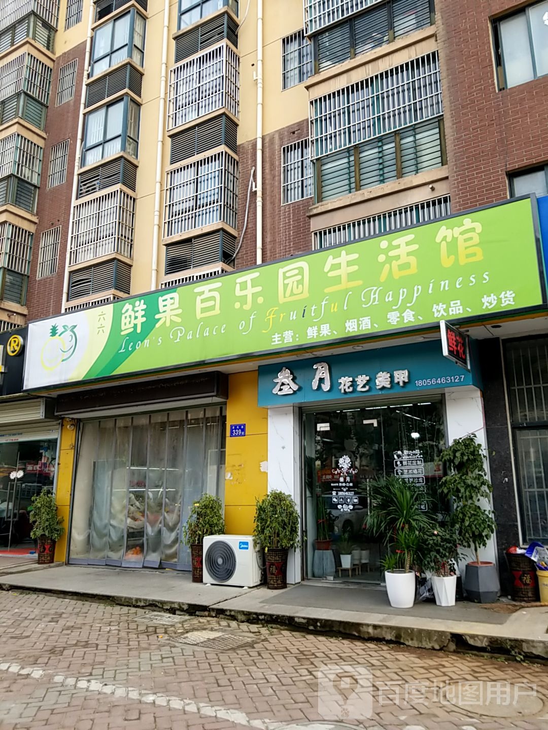 叁月花一梅甲