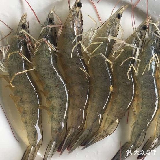 南北吃货海鲜肥牛自助火锅烤肉(钟村店)