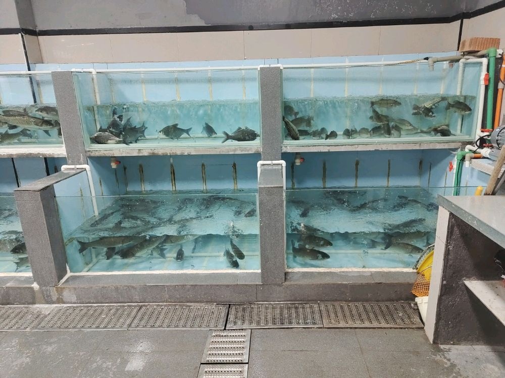 炉火纯青鲜活水产品店