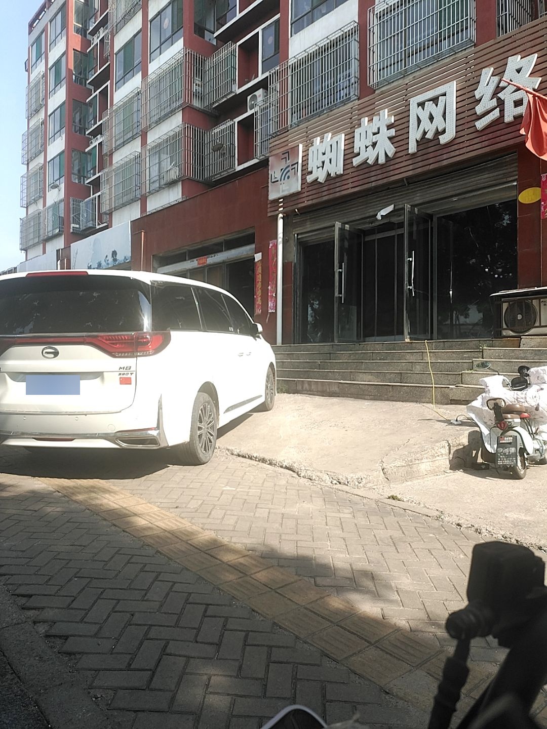 蜘蛛网络