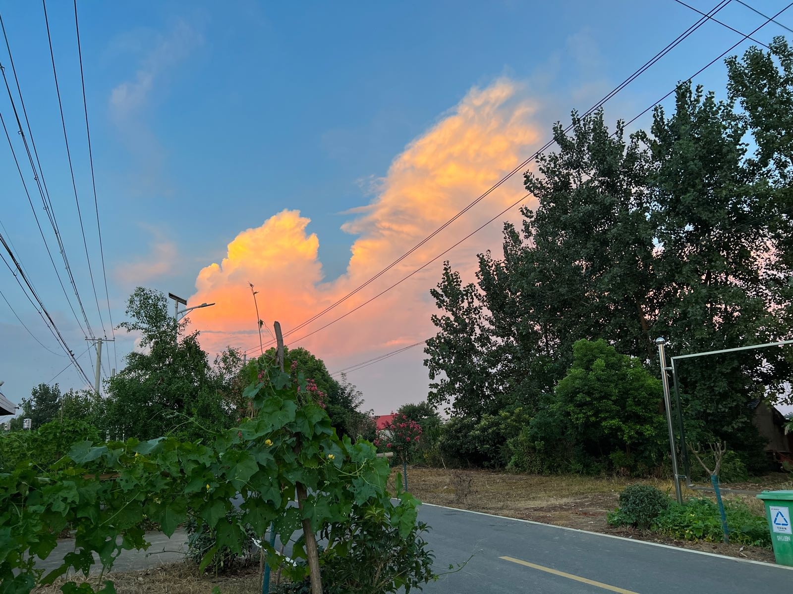 何山村