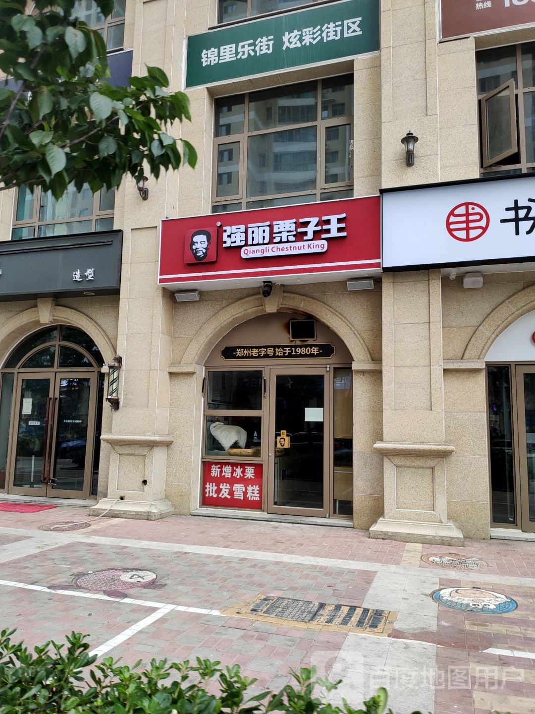 强丽栗子王(郑飞店)