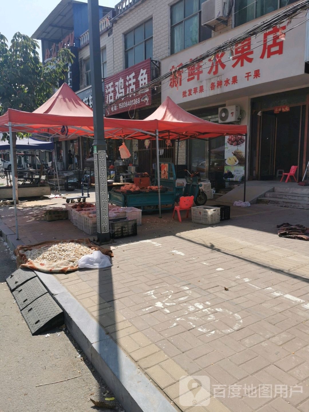 鹿邑县辛集镇新鲜水果店