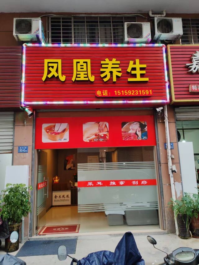 凤凰养生
