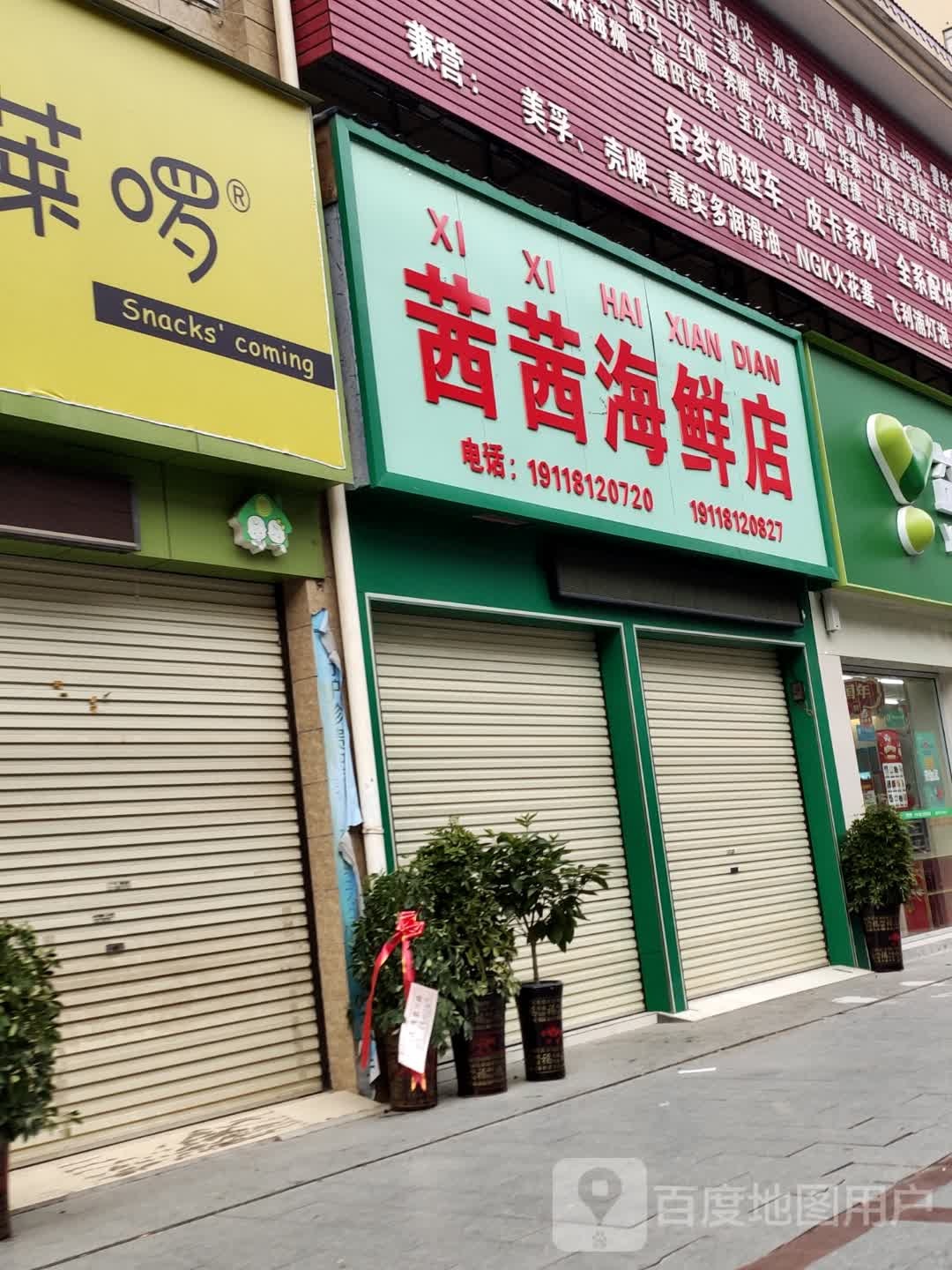 茜茜海县店