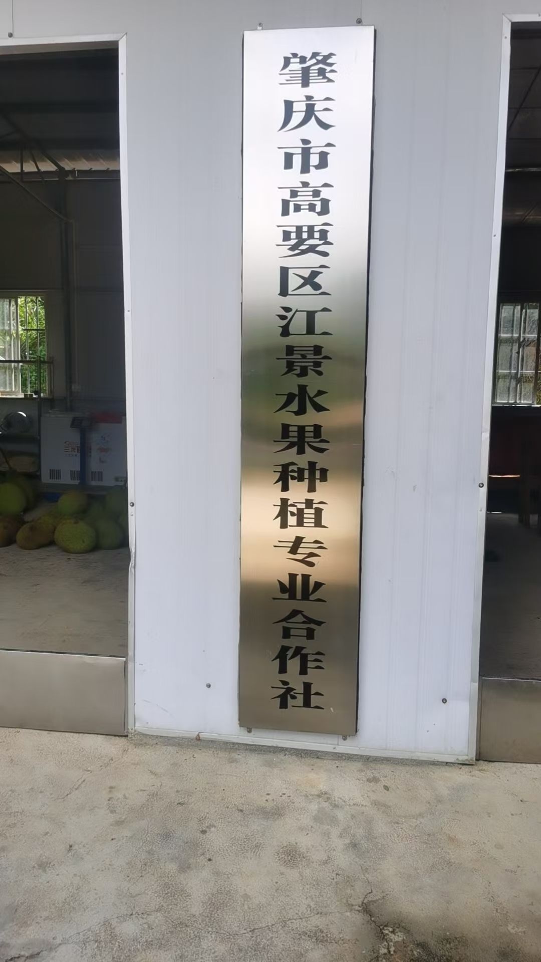 肇庆市高要区江景水果种植专业合作社