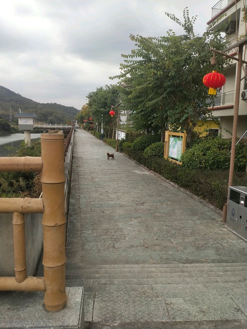 新兴江簕竹镇圩碧道