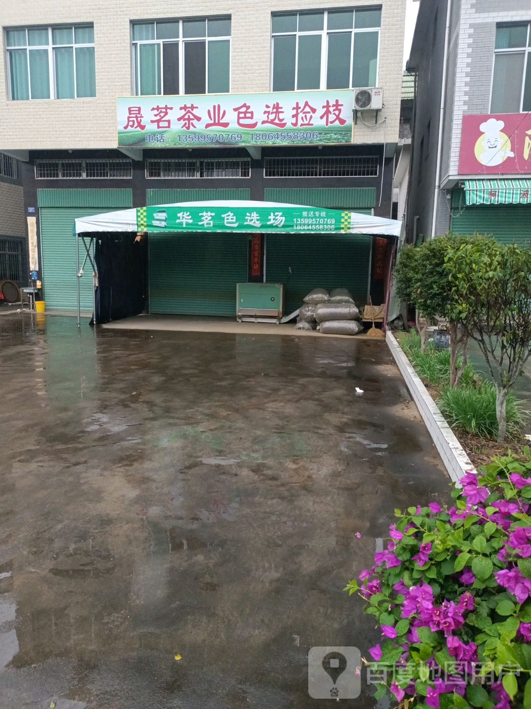 晟茗茶叶色选捡枝
