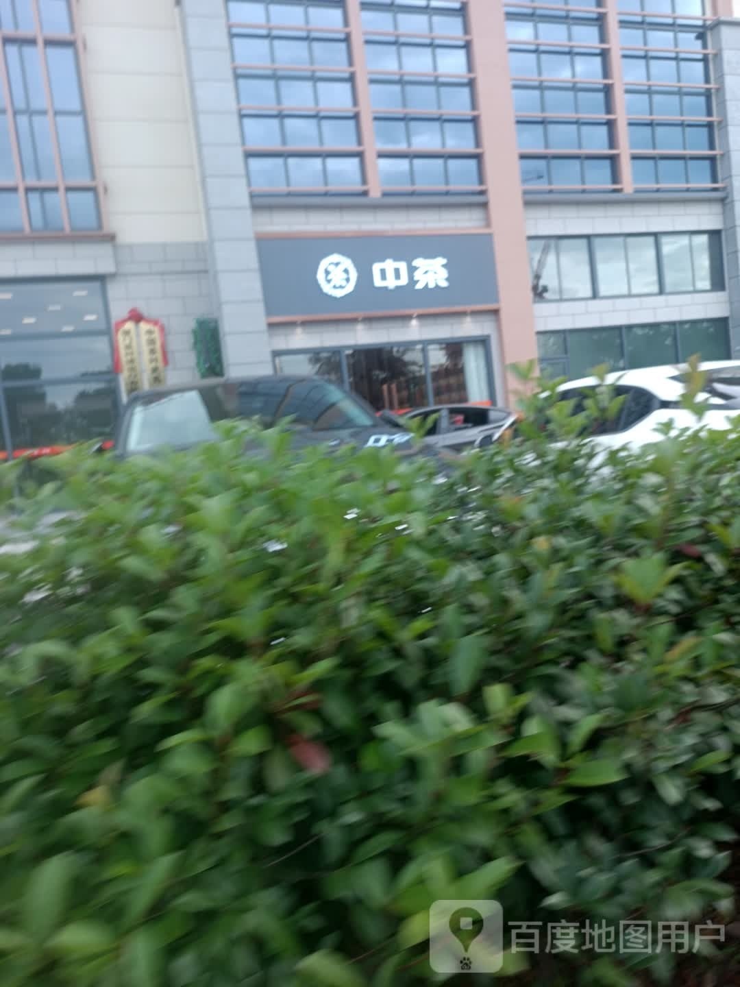 中茶武夷