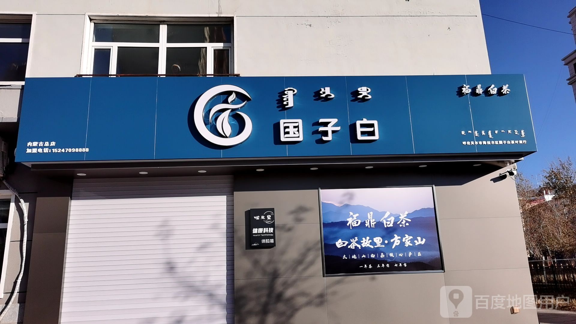 国子白福鼎白茶
