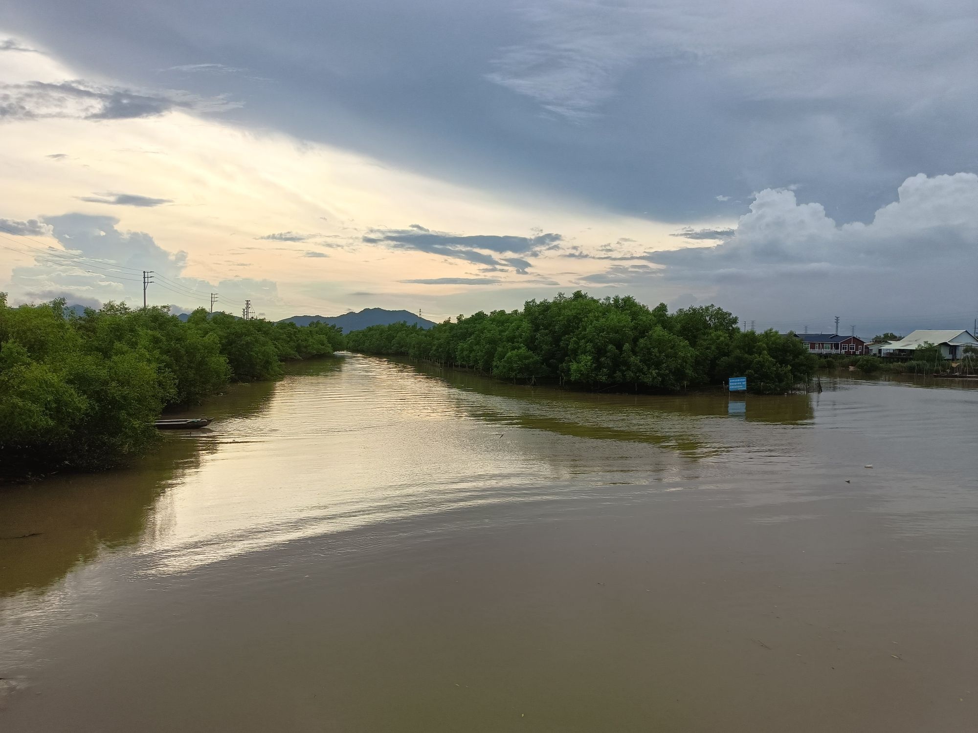 崖口红树林湿地