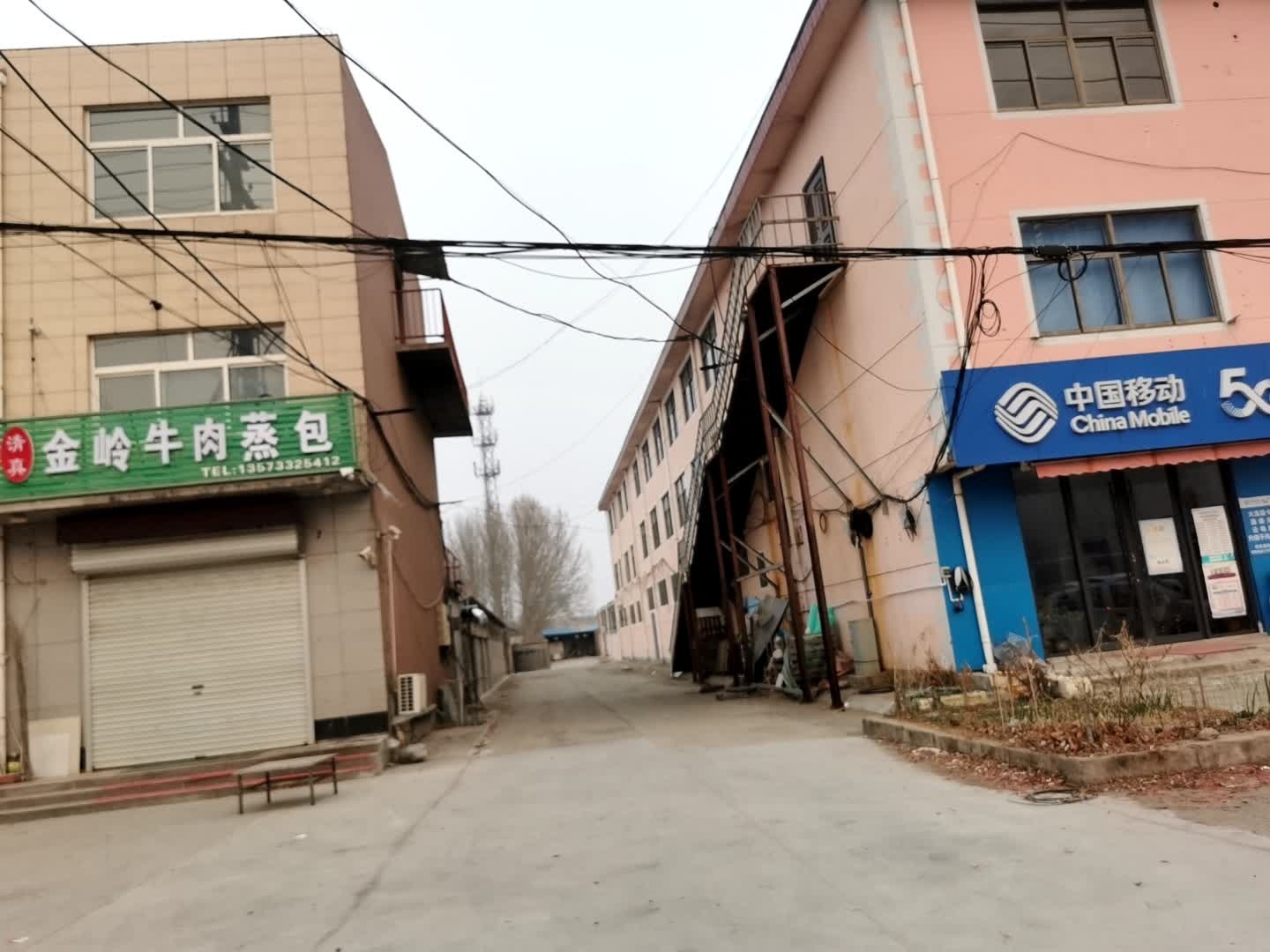 清真金岭伊真牛羊肉