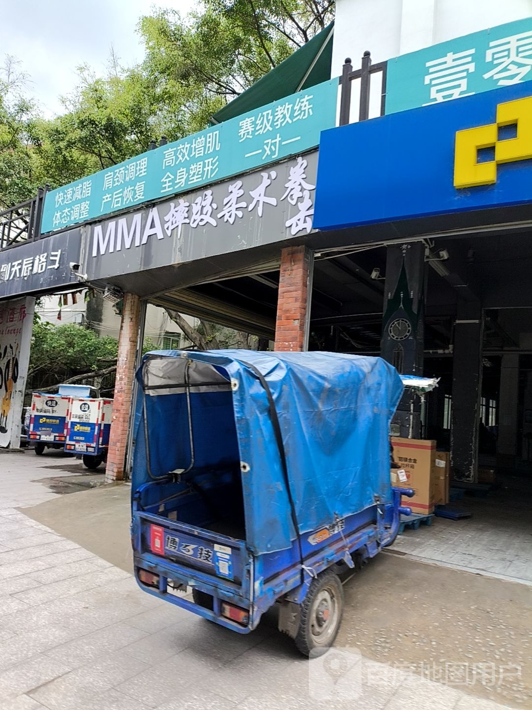 MMA摔跤柔术拳击