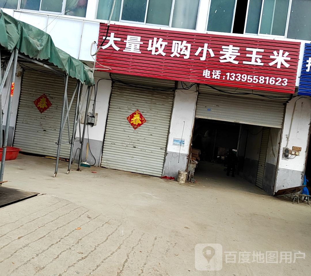 大量收购小麦玉米