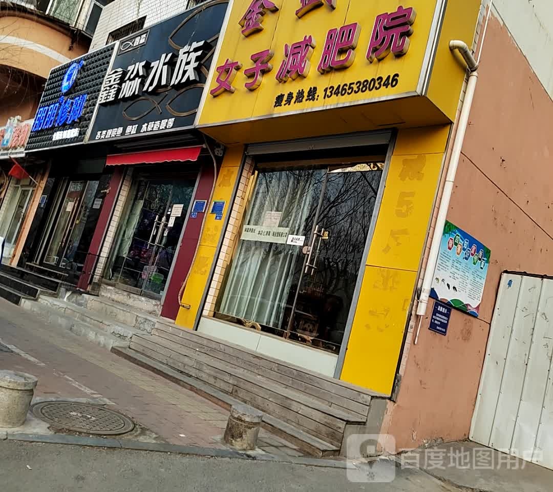 鑫淼鱼族(东湖公园店)