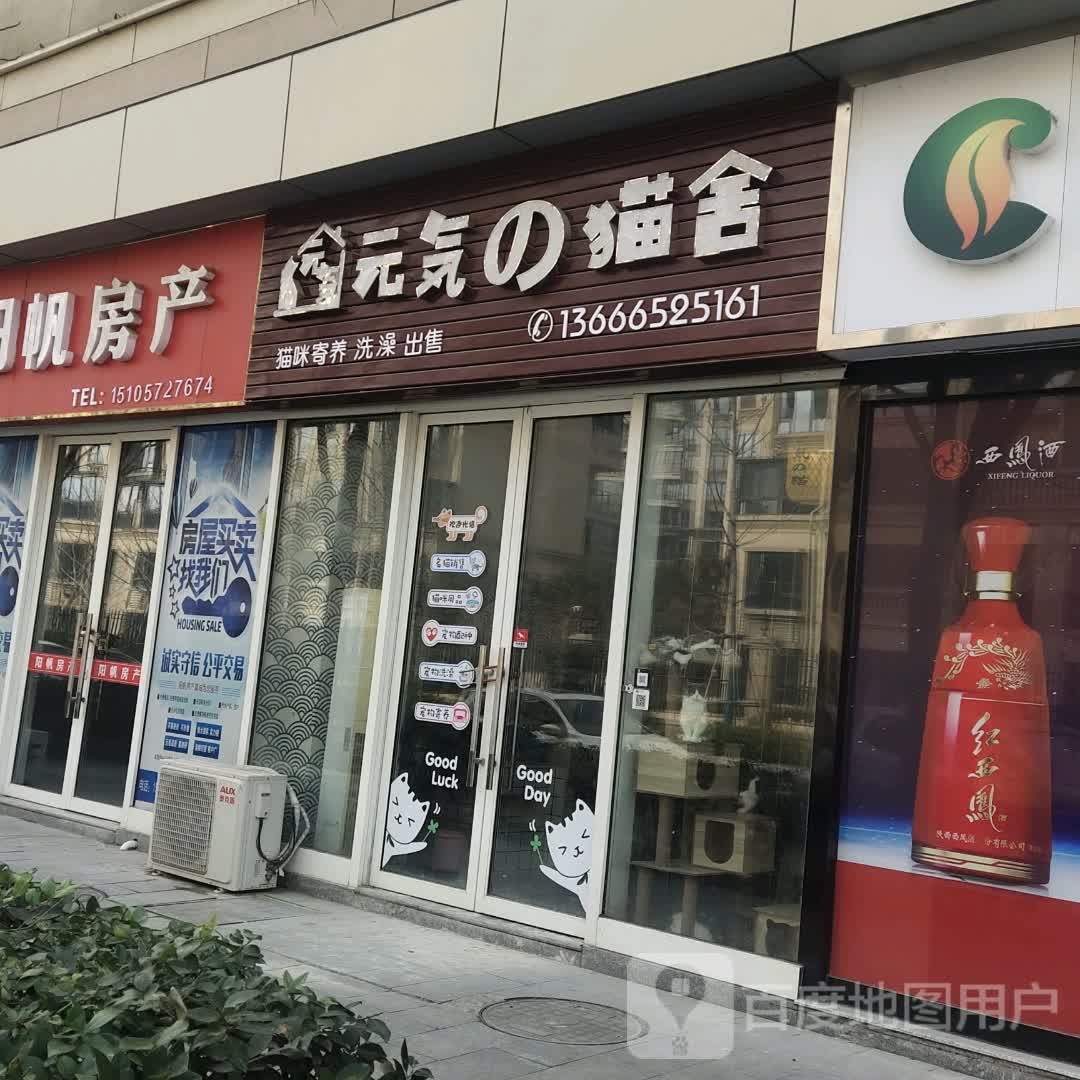 元气的猫舍(湖州长兴万达广场店)