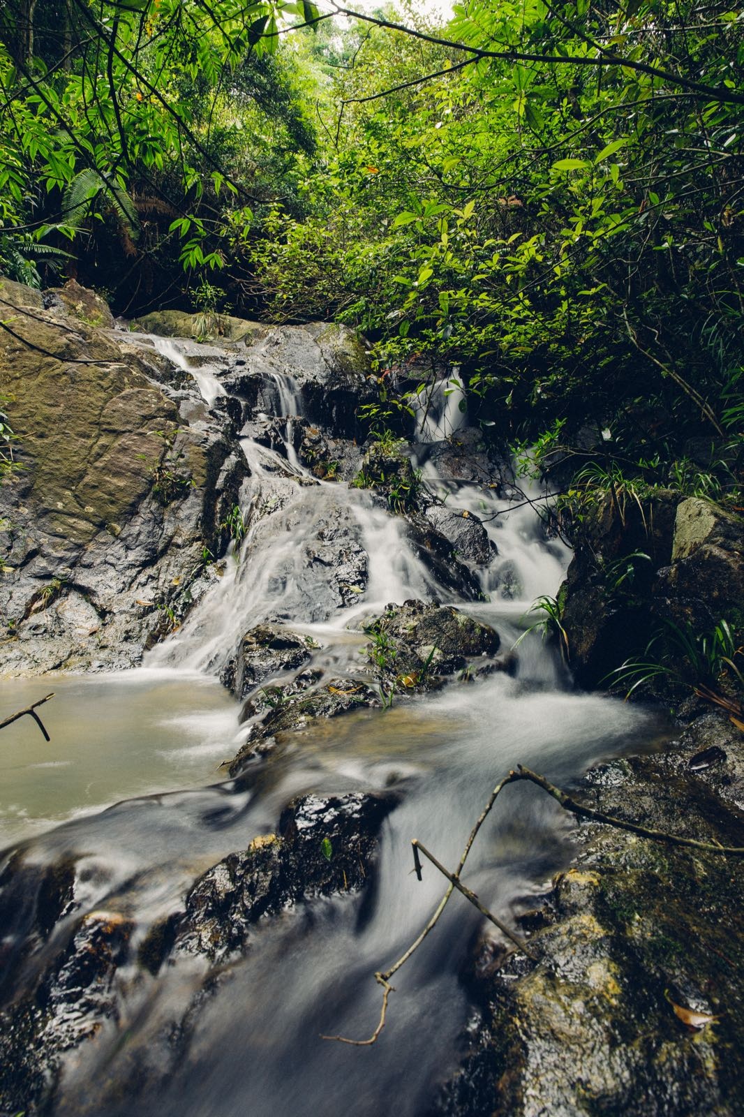 涌泉古岩生态文化茶庄园