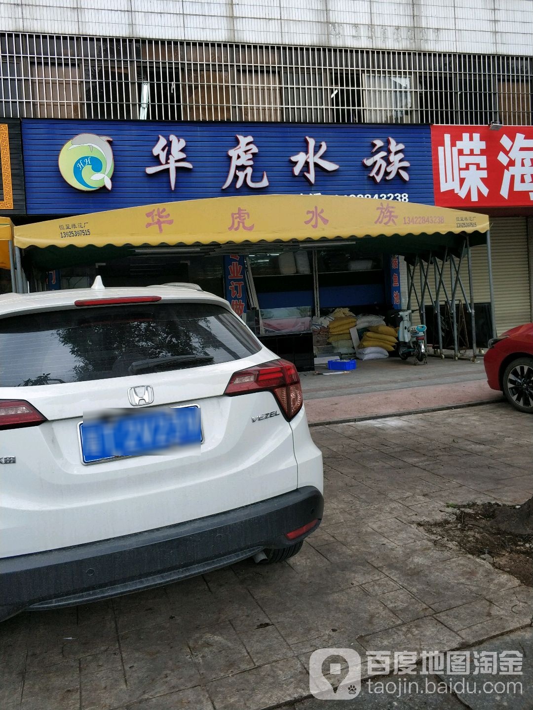 华虎水族(隆兴中路店)