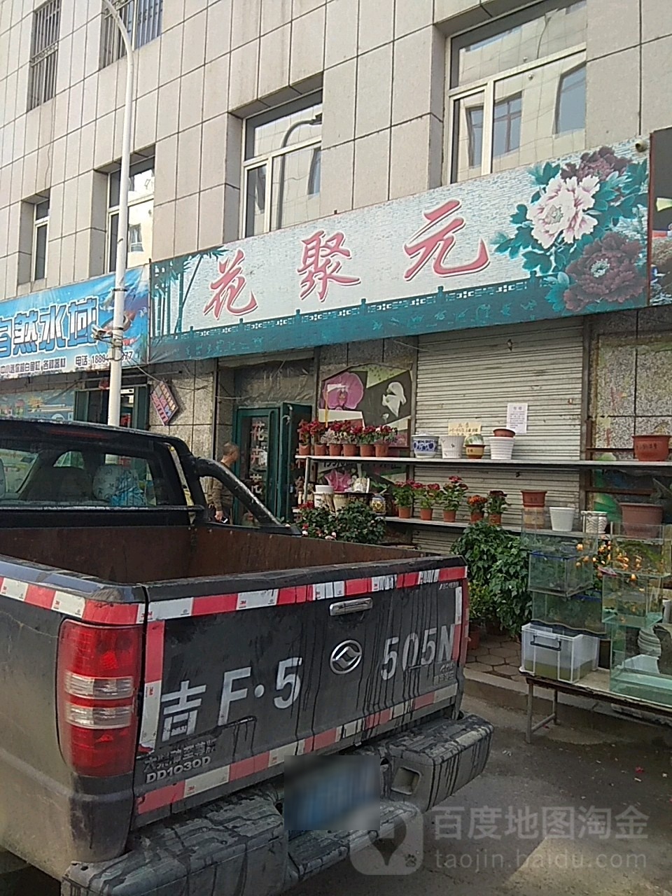 花聚元