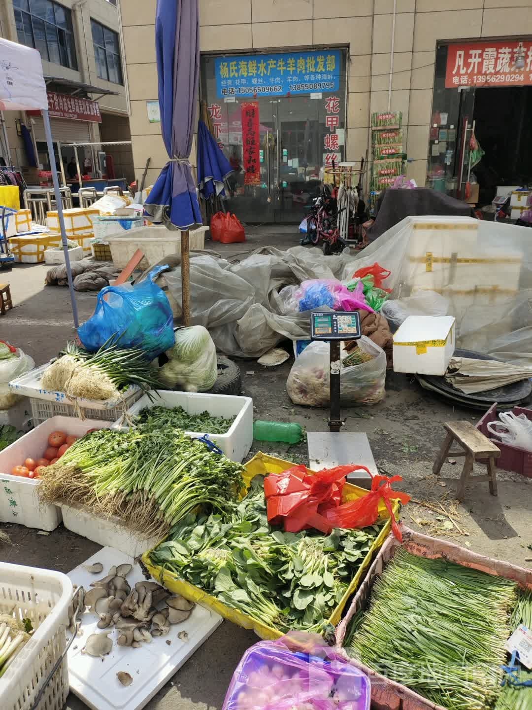 杨氏海鲜水产牛羊肉批发部
