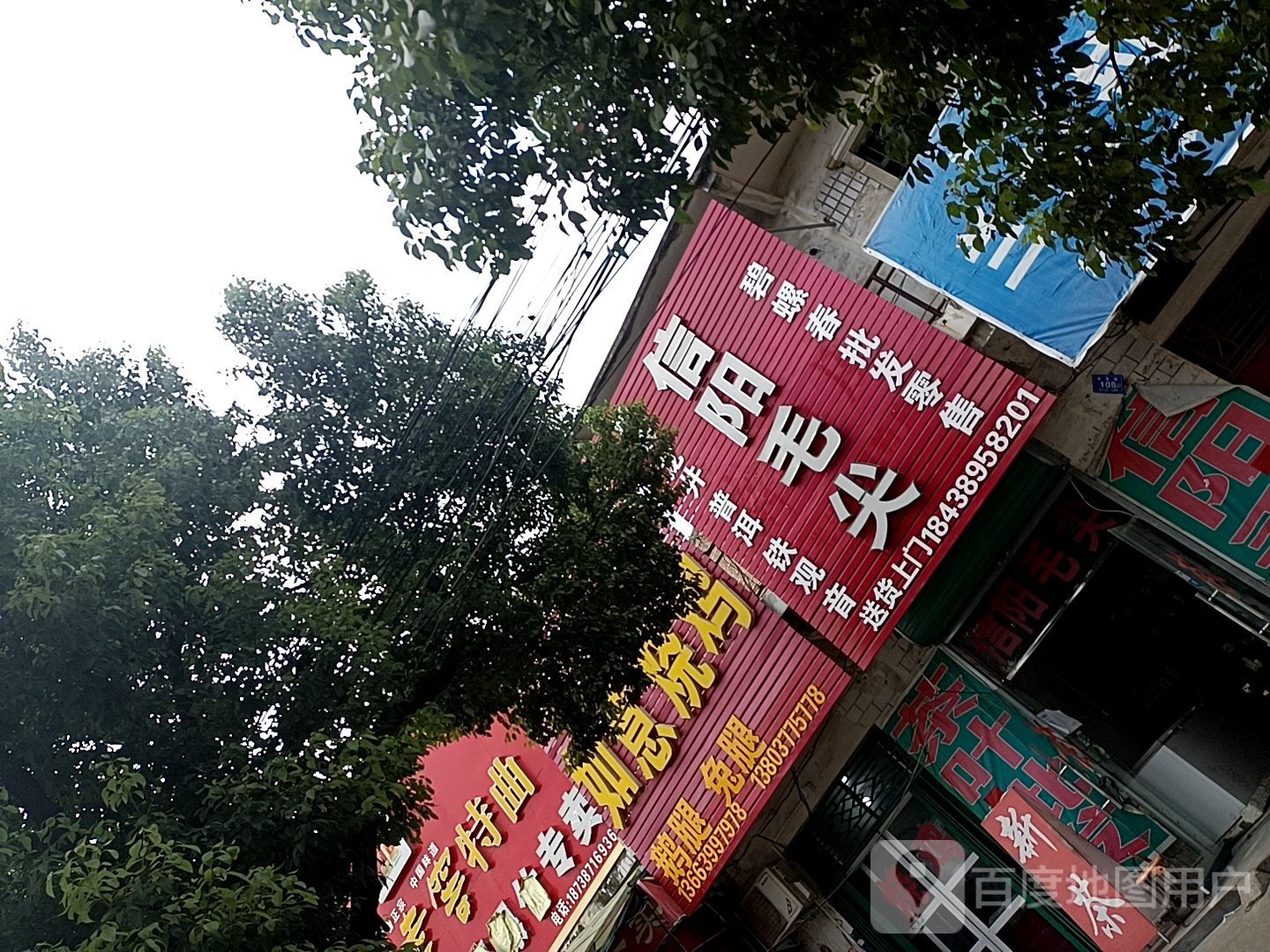 邓州市穰东镇信阳毛尖(仲景路店)