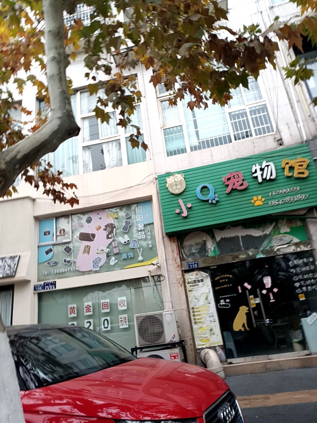 小Q宠物馆(东坝店)