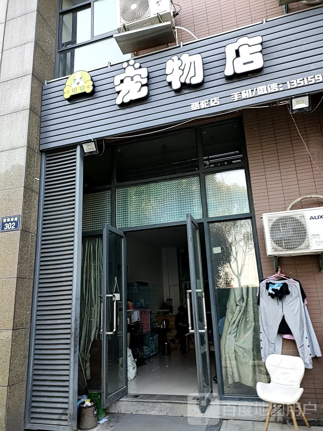 贝贝宠物店(骆驼店)