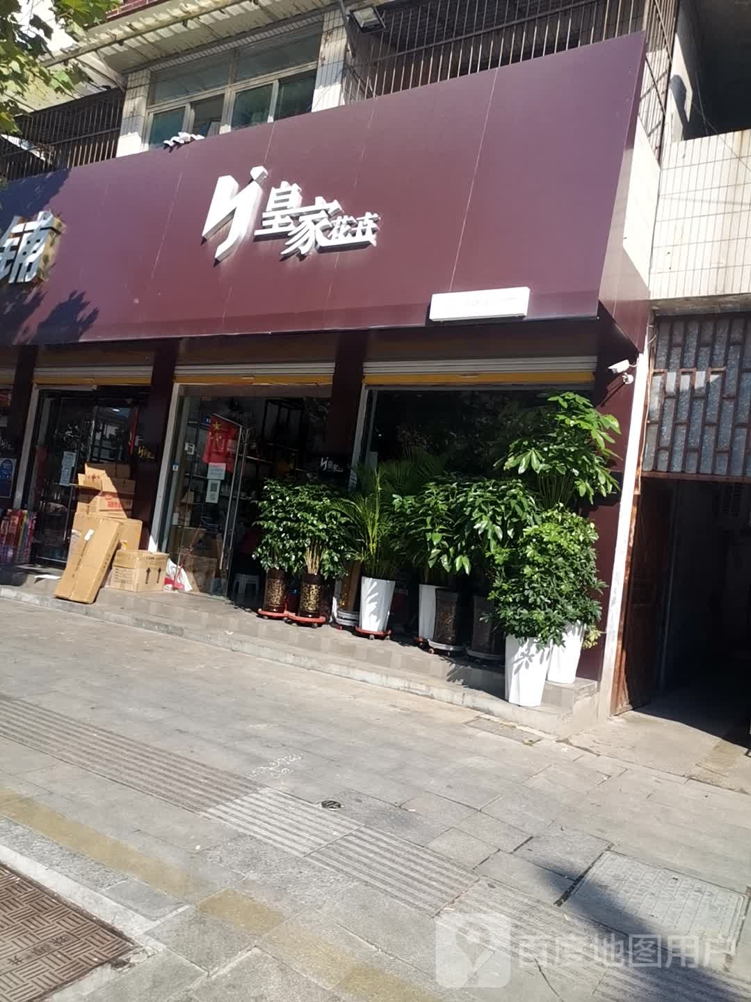 的皇家花卉(向阳路)