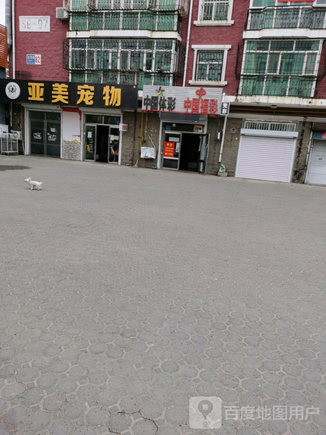 亚美宠物