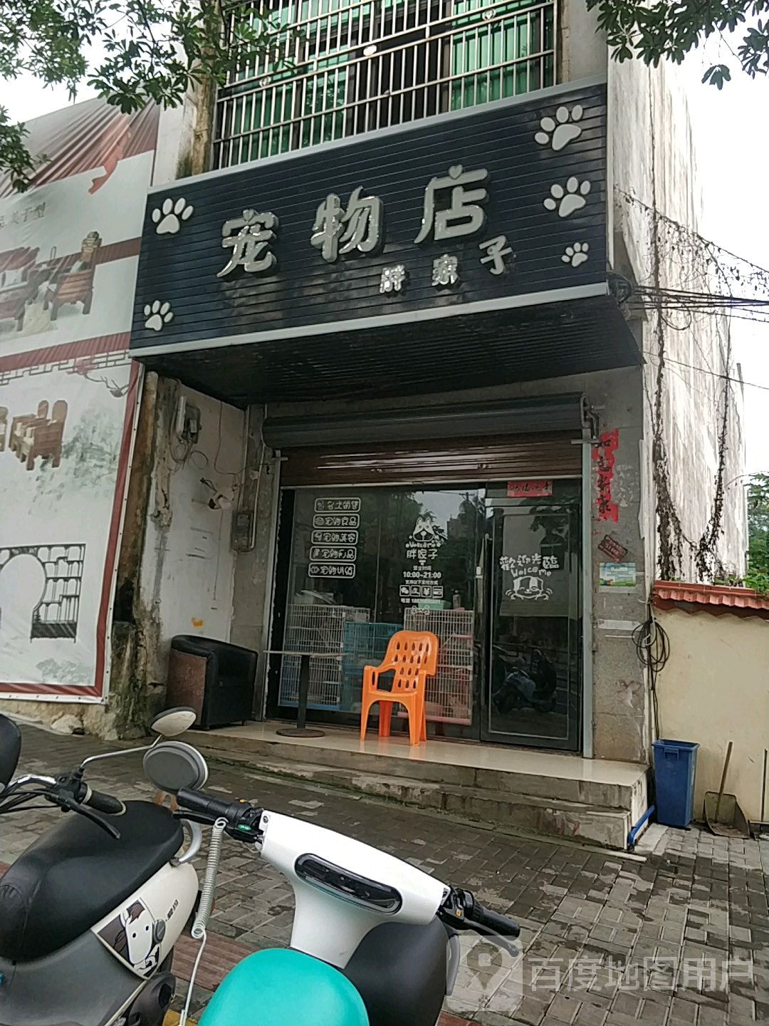 胖家子宠物店