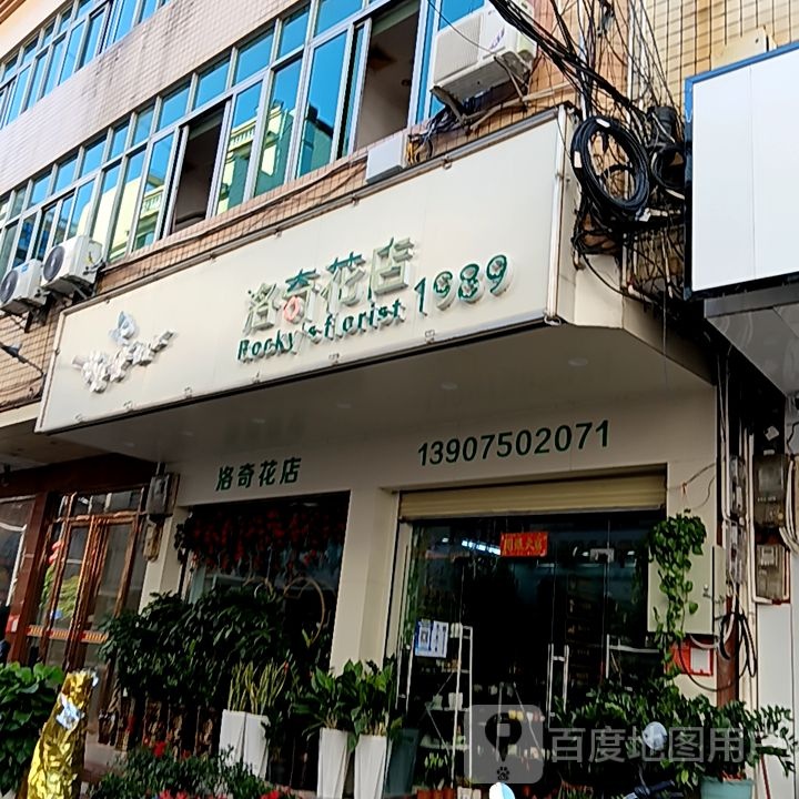 洛奇花店(天安购物广场人民路店)