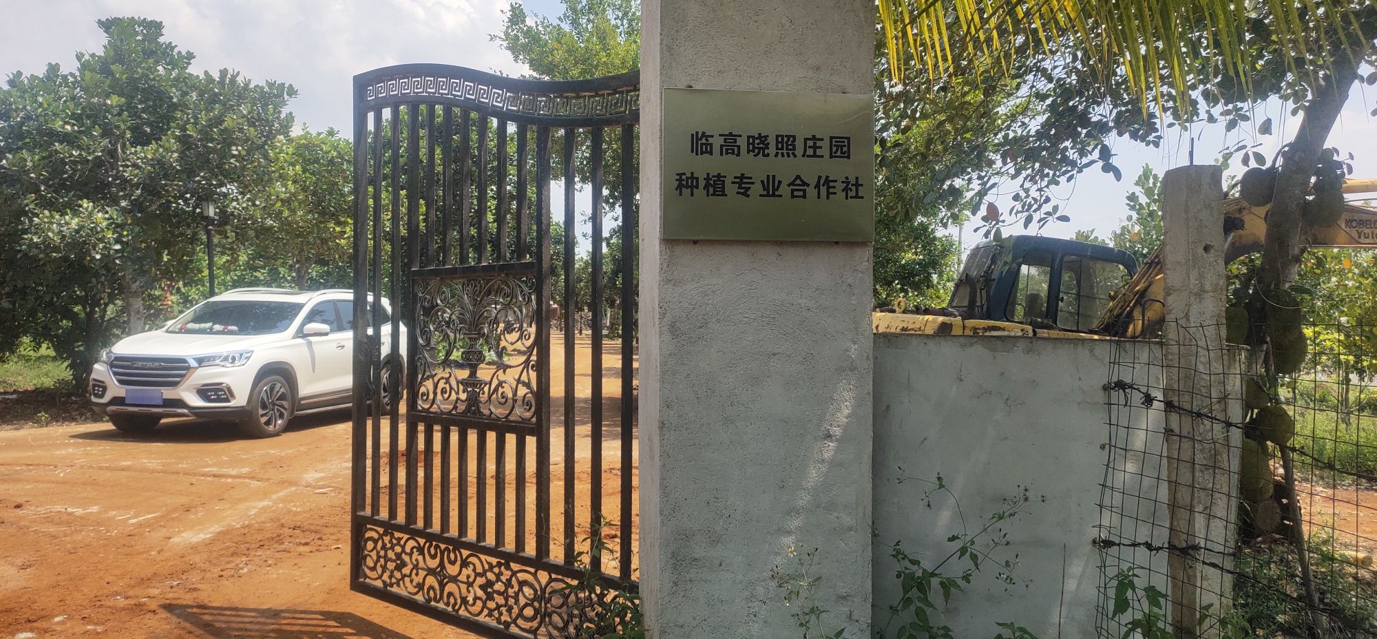 临高晓照庄园种植专业合作社