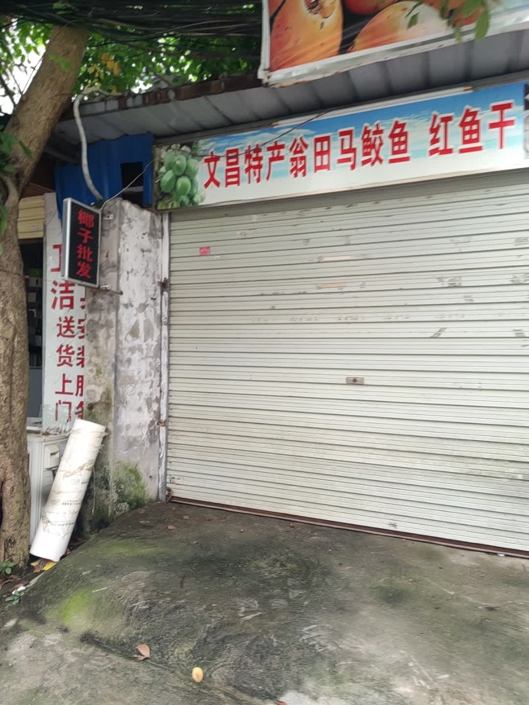 文昌特产翁田马鲛鱼红鱼干