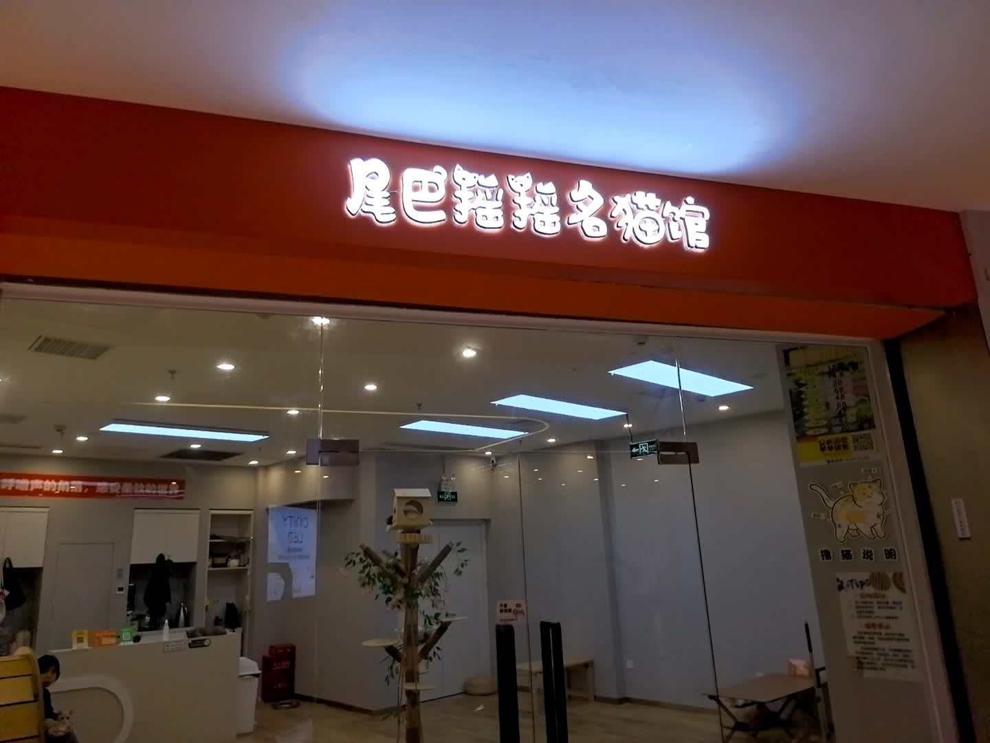 尾巴摇摇名猫馆(石歧万象汇店)