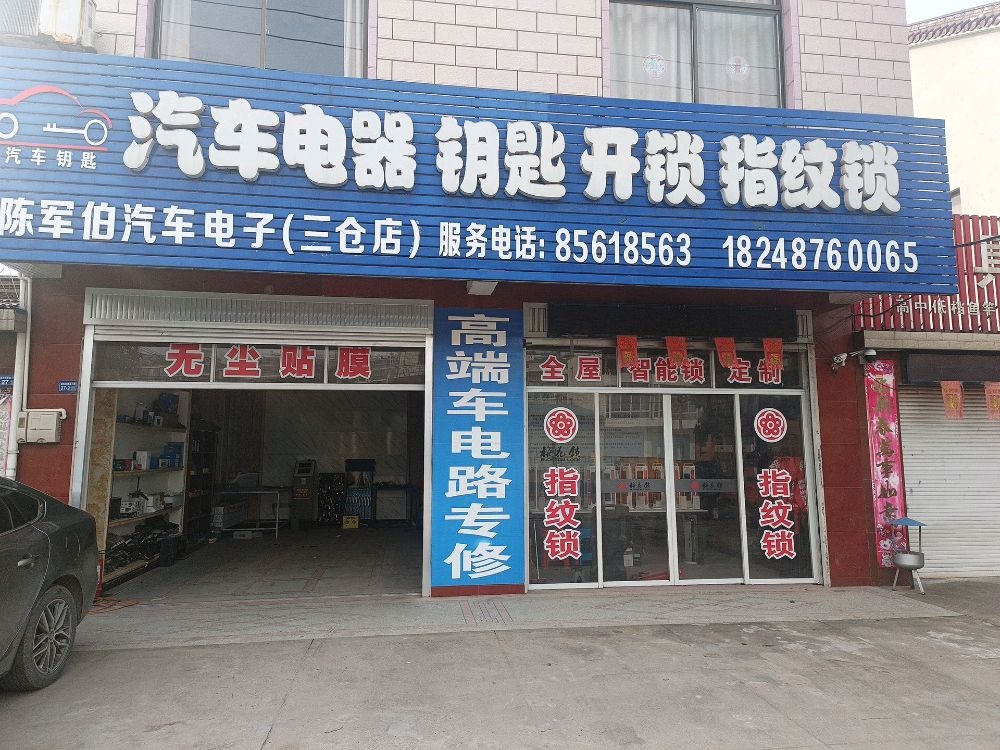 陈军伯汽车电子(三仓店)