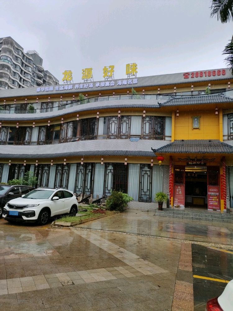 龙源好味·椰子鸡·海南菜·本地海鲜(洋浦店)