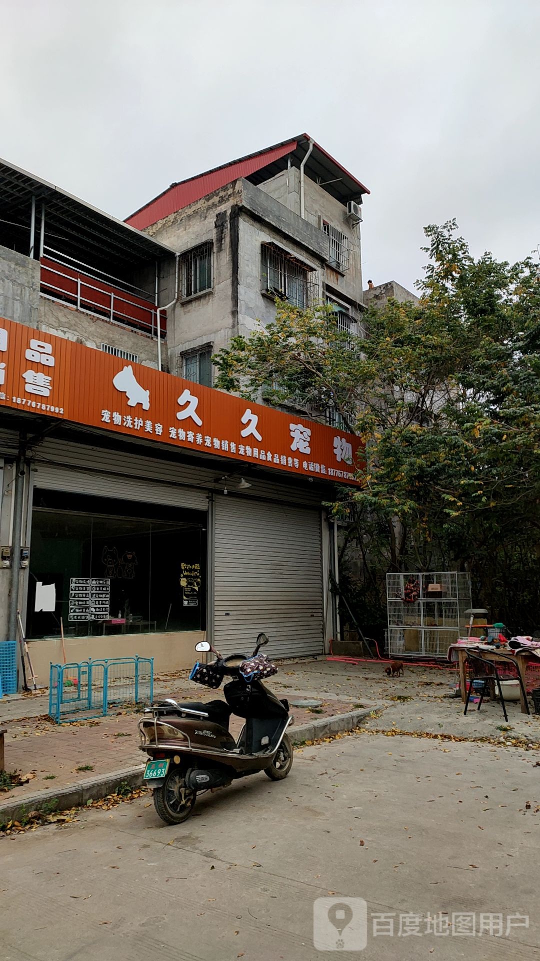 久久宠物(城北路店)