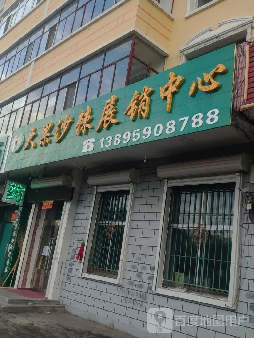 宝江大果沙棘展销中新
