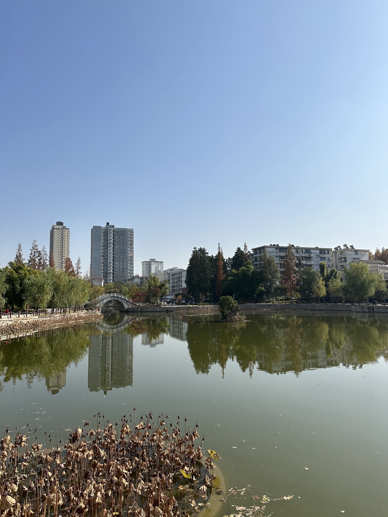 莲花池公园