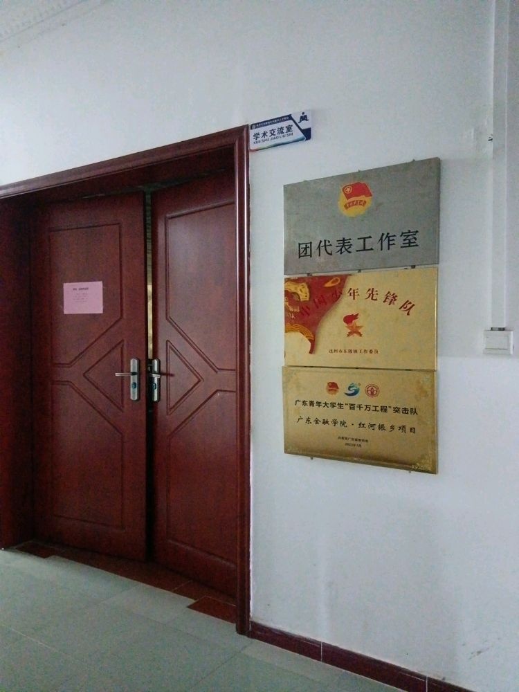 广东青年大学生百千万工程突击队广东金融学院红河振乡项目