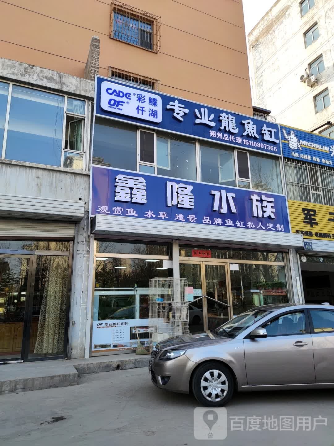 鑫隆水族(北辰花园店)