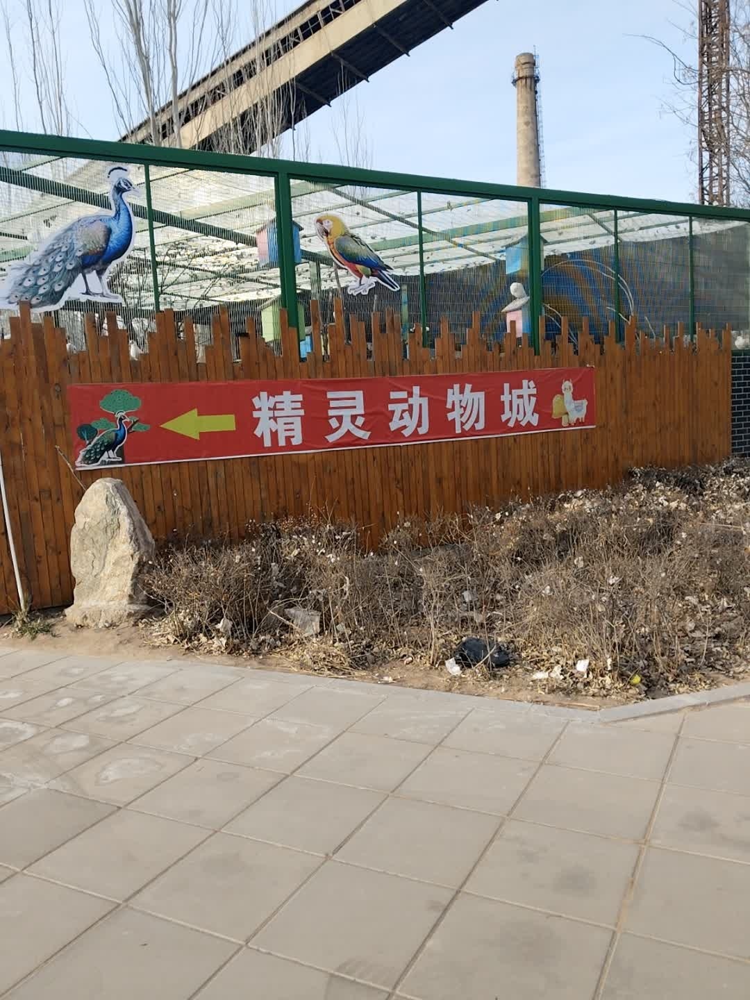 精灵动物城